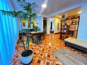 a living room with a table and a potted plant at Comfortable House in Calca in Calca