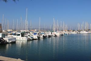 un groupe de bateaux amarrés dans un port dans l'établissement Les 1000 Vignes, à Frontignan