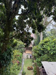 un jardín con árboles y arbustos y un camino en Pituba Vile - Apartamento Jardim, en Itacaré