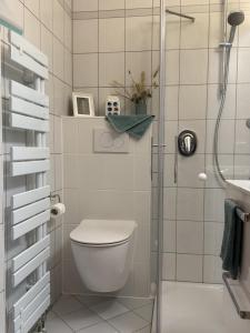 a bathroom with a toilet and a shower at Ferienwohnung Am Hunnenbrunnen in Güntersleben