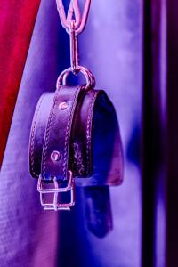 Fotografie z fotogalerie ubytování Love Room Escale du Desir - Balançoire d'amour, Croix de Saint André, Menottes et Fauteuil Tantra - love-room-alsace-67 v destinaci Niederbronn-les-Bains + 6 fotografií