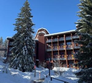 a hotel in the snow with a pine tree at Appartement 6 personnes ARC 1800 in Bourg-Saint-Maurice