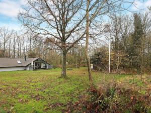 a tree in a yard in front of a house at 6 person holiday home in Roslev-By Traum in Vester Grønning