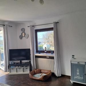 a living room with a television and a window at Ferienhaus am Nordostseekanal in Offenbüttel