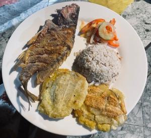 a plate of food with fish and rice at Cabaña Refugio Salomon in Nuquí
