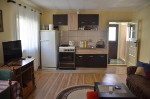 a kitchen with a white refrigerator and a stove at Seosko domacinstvo Radovanovic in Bajina Bašta