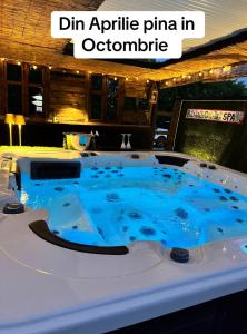 Gallery image of Bambuus Garden & Spa in Drăgăşani