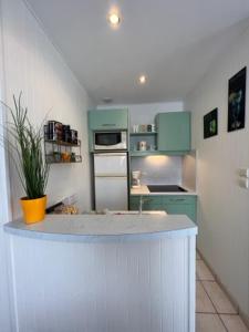 a kitchen with green cabinets and a counter top at Aux lits du lac vue plage in Giffaumont