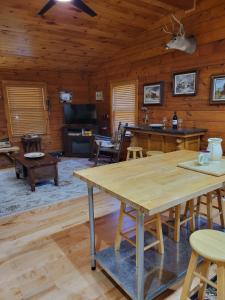 TV a/nebo společenská místnost v ubytování Lake Cabin on 10Acres w Seasonal Waterfront Views