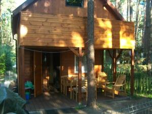 eine Hütte im Wald mit einem Baum in der Unterkunft Domek Anna in Turawa
