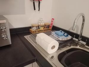 a kitchen counter with a sink and a roll of paper towels at Coach House Apartment - Sleeps 2 in Whitehaven