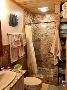 Un baño con ducha, inodoro y lavabo. en Your Own Nature Preserve, en Hersey