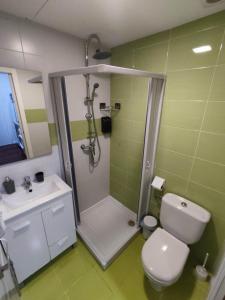 a bathroom with a shower and a toilet and a sink at Benimaclet Habitacion con Baño in Valencia