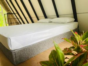 a bed in a room with two pillows and plants at Doranagala Holiday Cabin in Rattota +14 photos