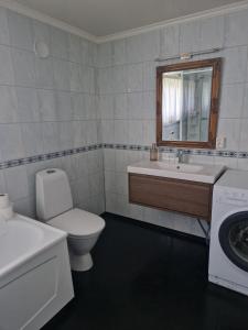 a bathroom with a toilet and a sink and a washing machine at Vareid Panorama Lofoten Lysvollhuset in Vareid