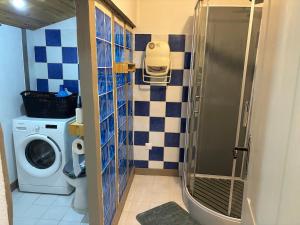 a bathroom with a shower and a washing machine at Historic center apartment in Annonay