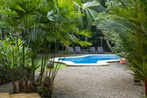 a swimming pool in a garden with palm trees at Casa Xcanan Pool House in Punta Uva