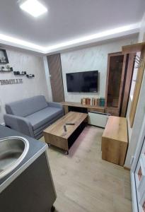 a living room with a couch and a coffee table at Radojkovic Apartman in Belgrade