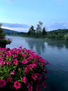 Fotografie z fotogalerie ubytování Guest House Šobić v destinaci Šipovo