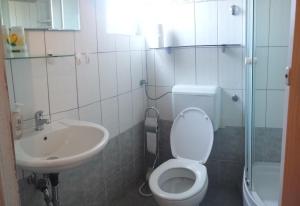 a small bathroom with a toilet and a sink at Apartments Antica in Šimuni