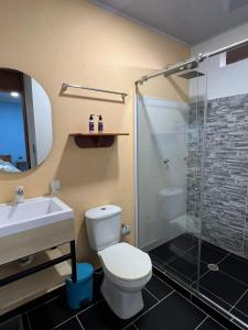 a bathroom with a toilet and a sink and a shower at AraMacao in La Macarena