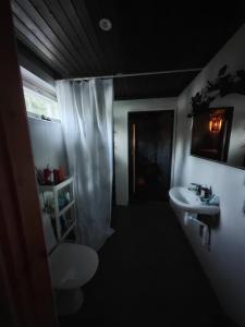 Un baño con una cortina de ducha blanca y un lavabo. en Homely Loft, en Punkaharju