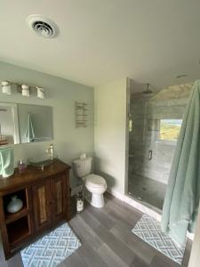 ein Badezimmer mit Toilette und Glasdusche in der Unterkunft Lake & Mountain Views every room in the house! in Dandridge