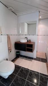 une salle de bain avec un lavabo, des toilettes et un miroir dans l'établissement Vakantiehuis Lycka, à Noordwijkerhout