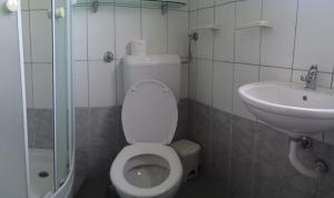 a bathroom with a toilet and a sink at Apartments Antica in Šimuni