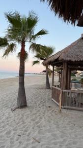 two palm trees and a hut on a beach at O forse il mare apartamento in Marina di Strongoli