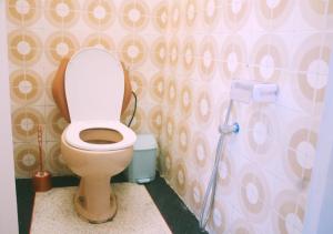 a bathroom with a toilet and a shower at Appartement Spacieux pour Famille Mâarif Casablanca in Maarif +17 photos