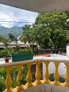 ein Balkon mit einem gelben Geländer mit Pflanzen darauf in der Unterkunft Hospedaje Casa Taganga in Taganga