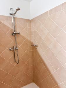 a shower in a bathroom with brown tiles at Grand Case Beachfront Apartment in Grand Case