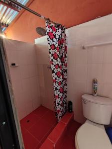 a bathroom with a toilet and a shower curtain with hearts at Tingo María Family Romero in Las Palmas