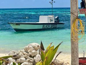a boat sitting in the water on a beach at Noah Private Beach House in Himmafushi