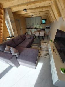 TV a/nebo společenská místnost v ubytování Golden view 2