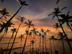 - un groupe de palmiers sur la plage au coucher du soleil dans l'établissement ANINA resort mirissa, à Mirissa 10 autres photos