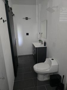 a white bathroom with a toilet and a sink at Casa Marlet Vieques in Vieques