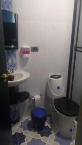 a bathroom with a toilet and a sink at Ubazhue Hospedaje Campestre in Anolaima