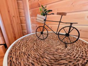 Jízda na kole v ubytování Séjours insolites au bord de la Saône - FR-1-583-392 nebo okolí