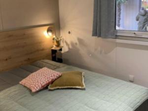 ein Schlafzimmer mit einem Bett mit Kissen und einem Fenster in der Unterkunft Mobil-home avec Terrasse pour 5 à Limeuil - API-1-52-425 in Limeuil + 14 Fotos