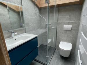 un bagno con doccia, lavandino e WC di Chalet 5 Chambres avec Wifi et Parking aux Gets - FR-1-671-299 a Les Gets Altre 27 foto