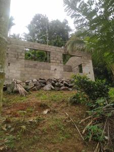 Φωτογραφία από το άλμπουμ του Halpehomestay σε Halpe