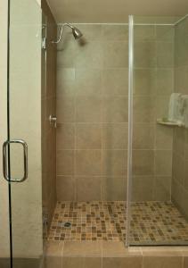 a shower stall with a glass door with a shower at Airtel Plaza Hotel in Van Nuys
