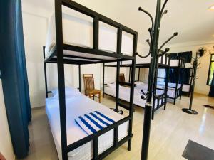 埃拉Ella Mount Hostel的一间卧室配有两张双层床,铺有蓝色和白色的床单