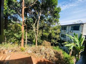 an rv parked in the woods next to trees at Ella Mount Hostel in Ella