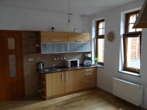 Kuchyňa alebo kuchynka v ubytovaní Apartament Selaz