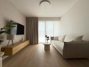 Μια τηλεόραση ή/και κέντρο ψυχαγωγίας στο Luxapartment 101 Golf & Lake Penati