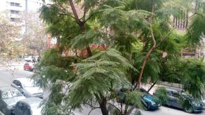 Foto sihtkohas Córdoba asuva majutusasutuse Nueva Córdoba Rondeau galeriist