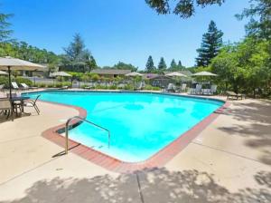 a large swimming pool with chairs and umbrellas at The Napa Residences in Napa